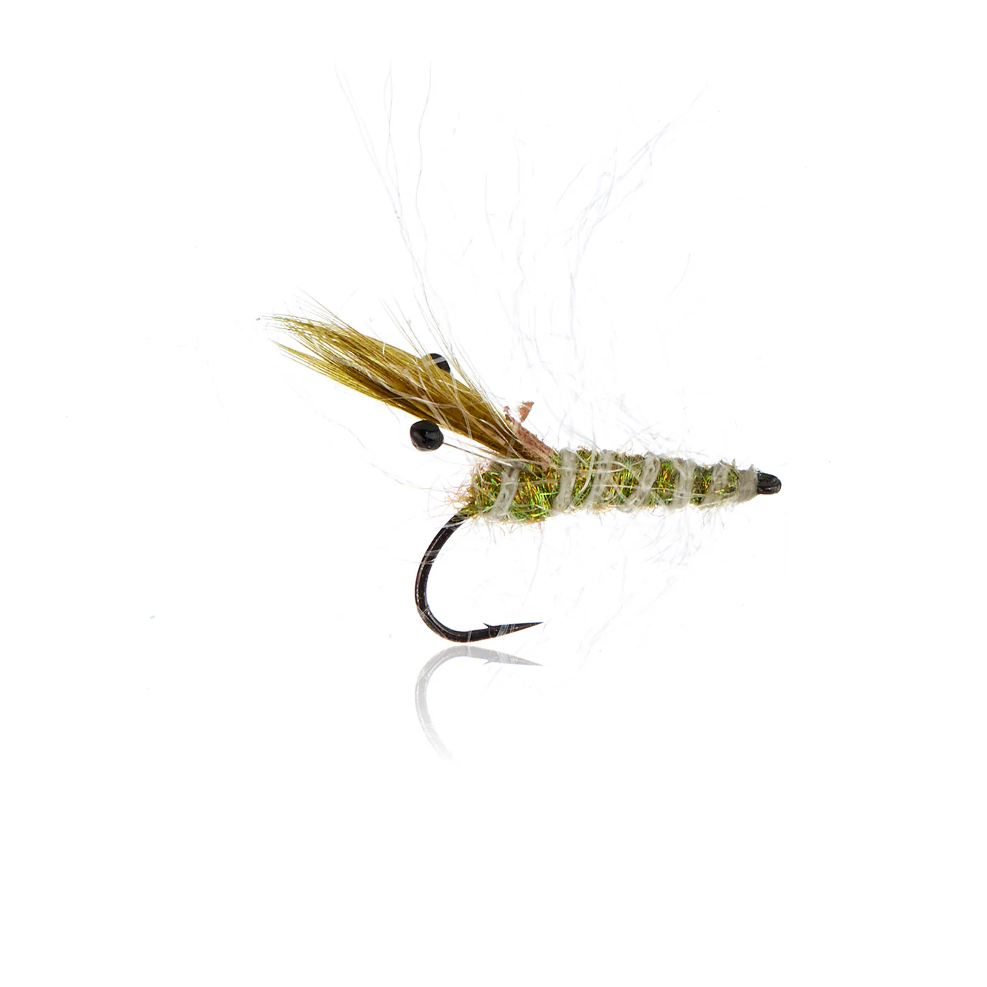 Panic Shrimp   Olive  Kystflue