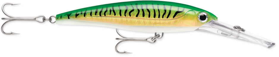 Rapala X Rap Magnum Dive 16cm Gold Green Mackerel
