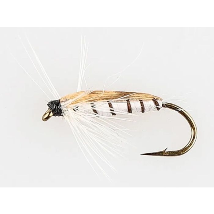 Dano Fly Corixa Nym Std  12