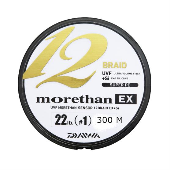 Daiwa Morethan 12 Fletline