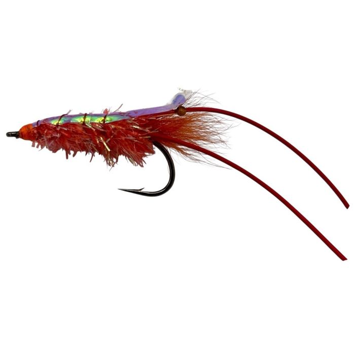 J:on The Glimmer Shrimp Str  6