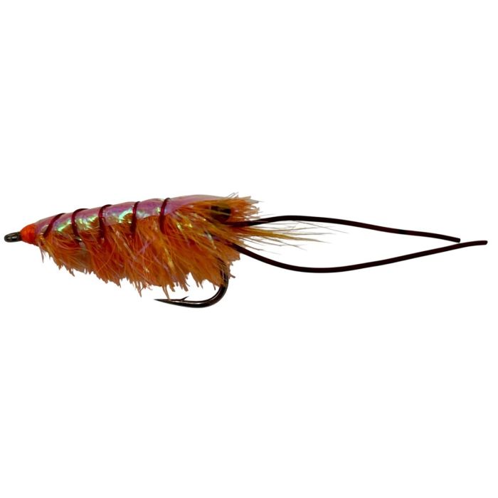 J:on The Glimmer Shrimp Str  8