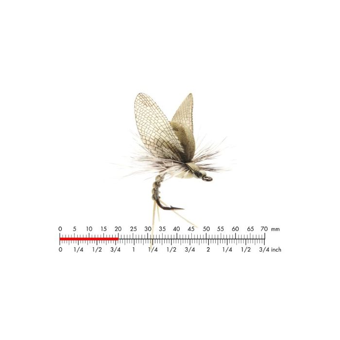J:on Mayfly Emerger 2 Light Olive  10