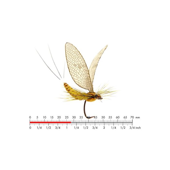 J:on Mayfly Dun 1 Cinnamon Brown  10