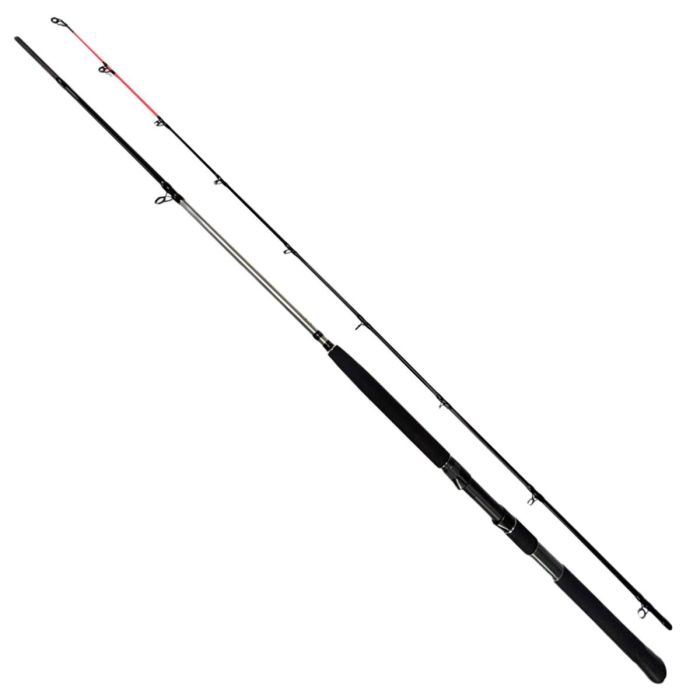 Daiwa Seahunter Trolling