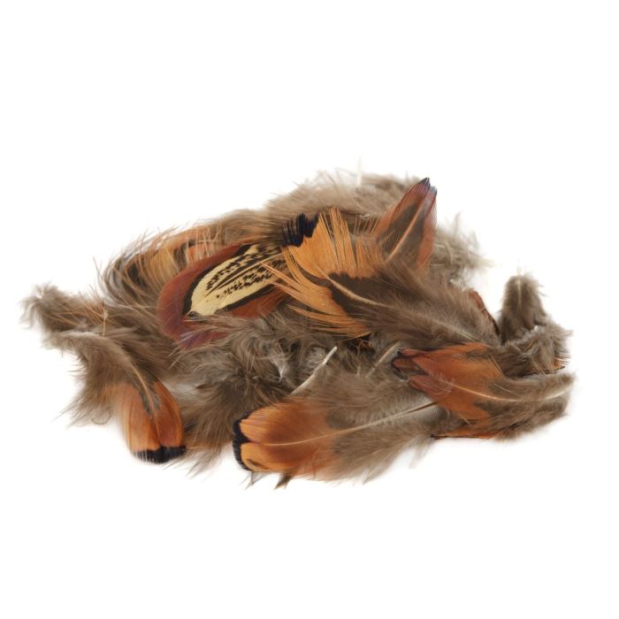 Pheasant Cock Ringneck Long Brown Rump